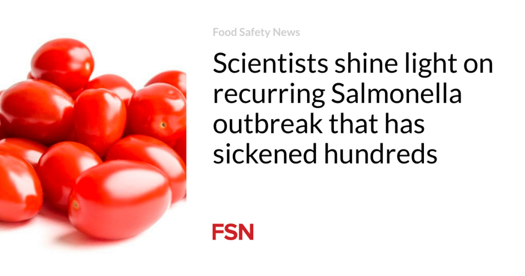 Scientists shine light on recurring Salmonella outbreak that has sickened hundreds