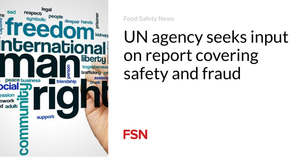 UN agency seeks input on report covering safety and fraud