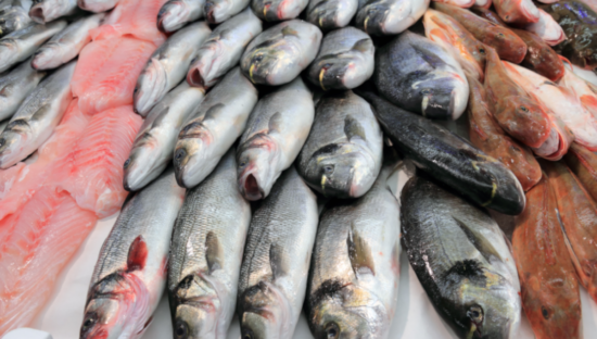 FAO stresses importance of water safety in fish sector