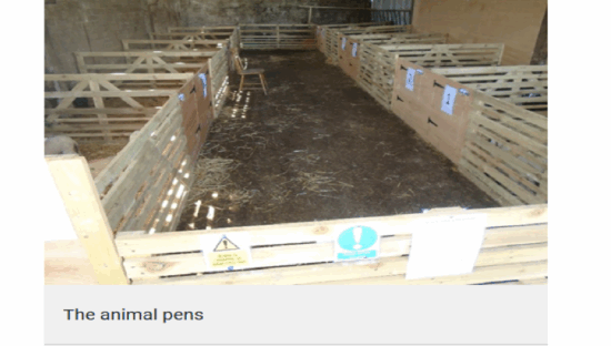 Farm owner fined after Cryptosporidium outbreak