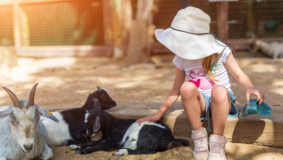 Publisher’s Platform: I wrote this 21 years ago about E. coli and petting zoos