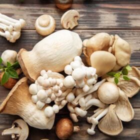 Assorted types of mushrooms on a wooden board with text layovers.