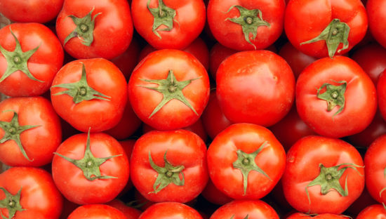 Tomato sector questions Salmonella outbreak link