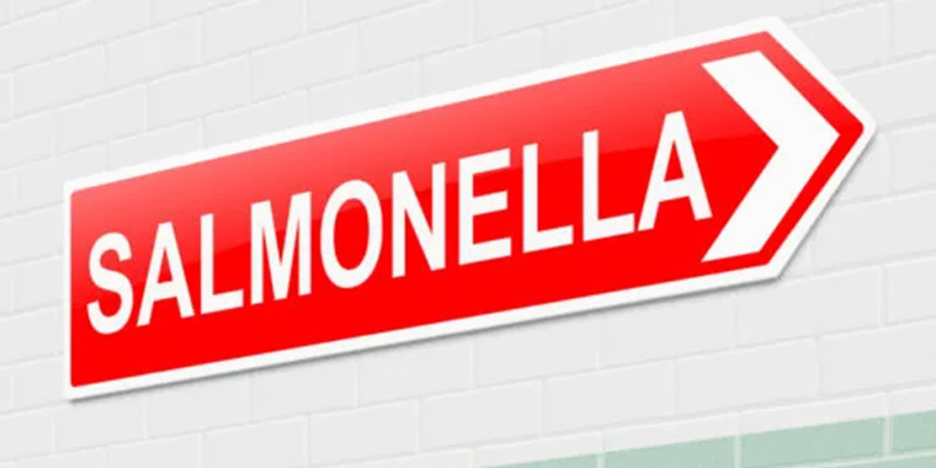 Nearly 50 sick in two Salmonella outbreaks in Denmark