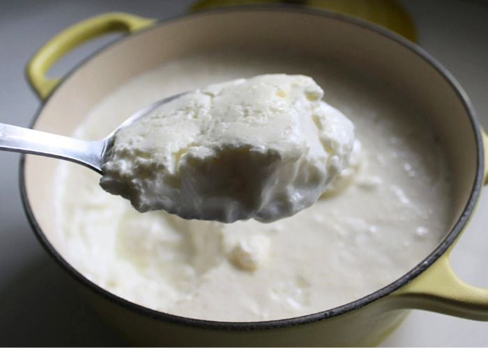 How to Make Curd (Homemade Yogurt