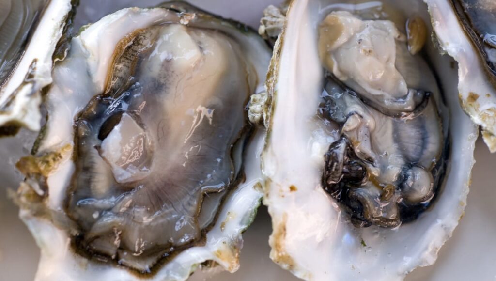 Oysters recalled in Canada associated with illnesses