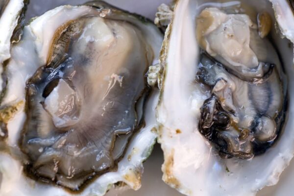 Oysters recalled in Canada associated with illnesses