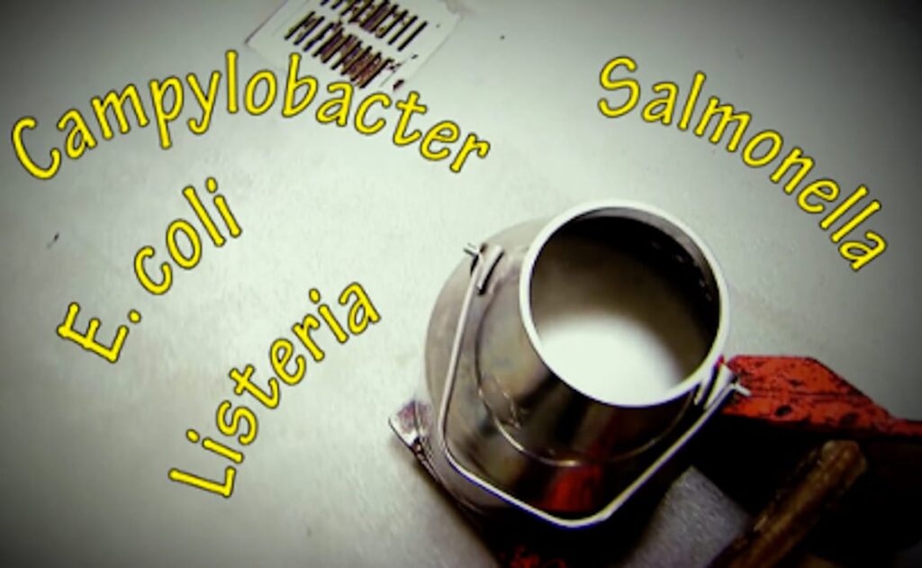 E. coli outbreak traced to raw milk