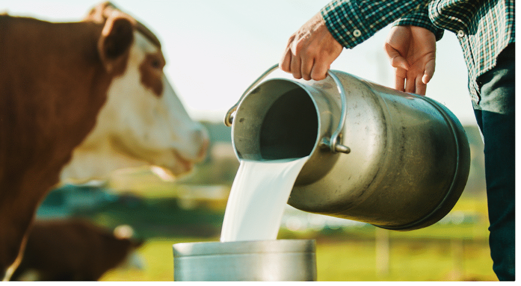 States' legislation on raw milk sales moving forward