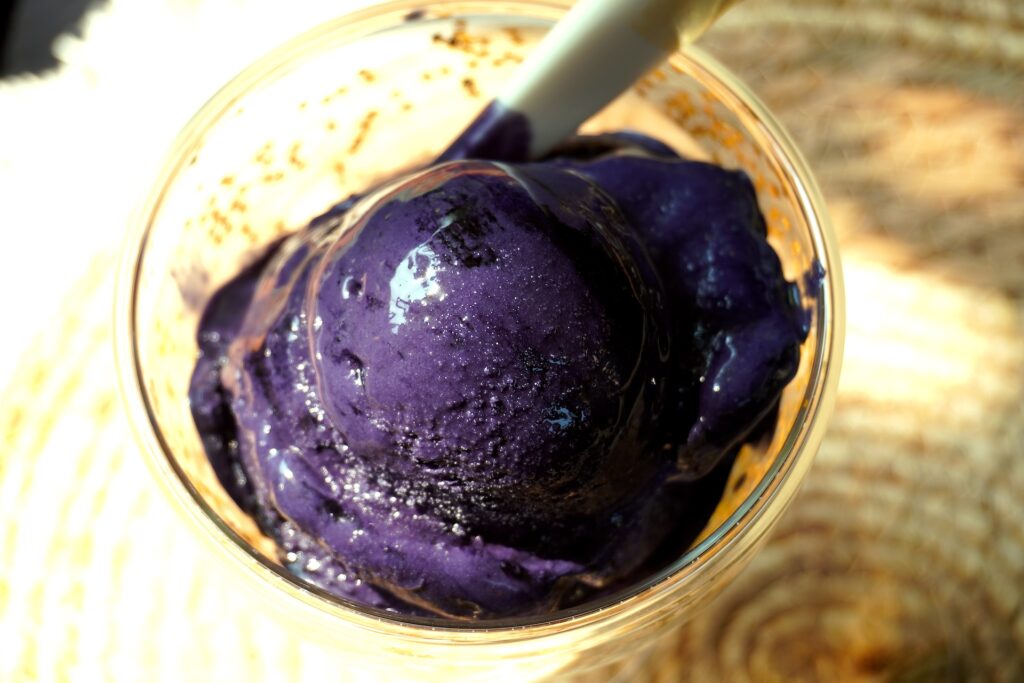 Cottage Cheese Ice Cream Recipe (High Protein Ice Cream)