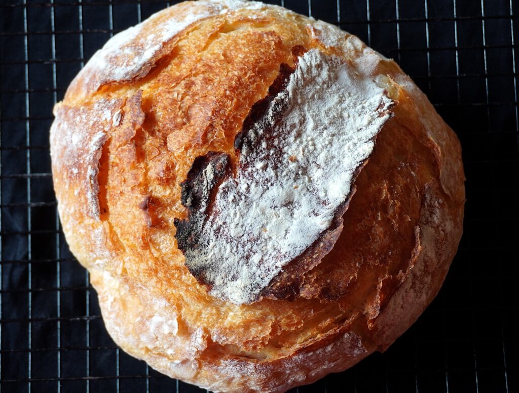 No Knead Bread Recipe (Rustic Dutch Oven Bread)