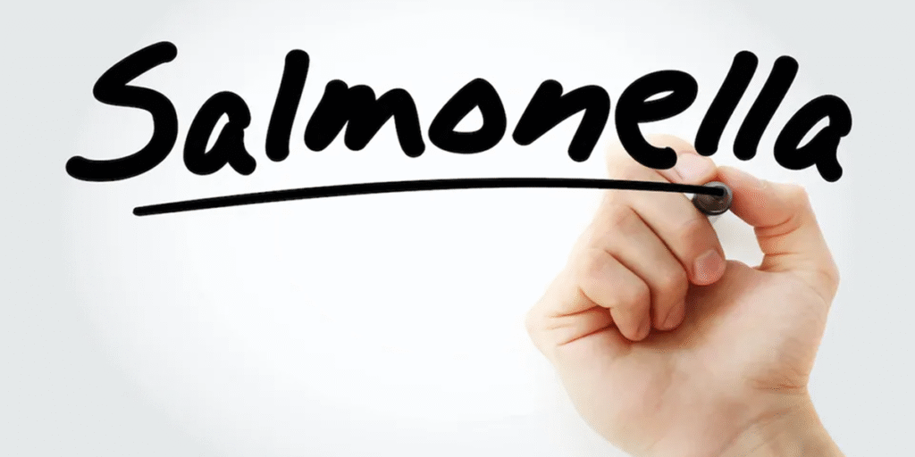 Salmonella sickens 120 in Latvia