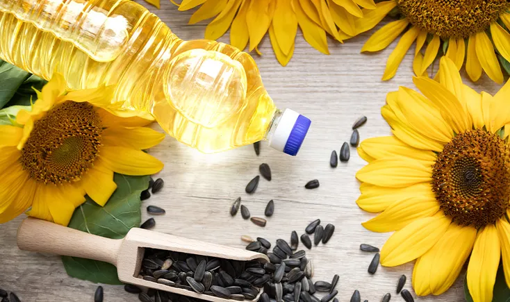 High oleic sunflower oil supports food formulations that are both adventurous and eco-conscious